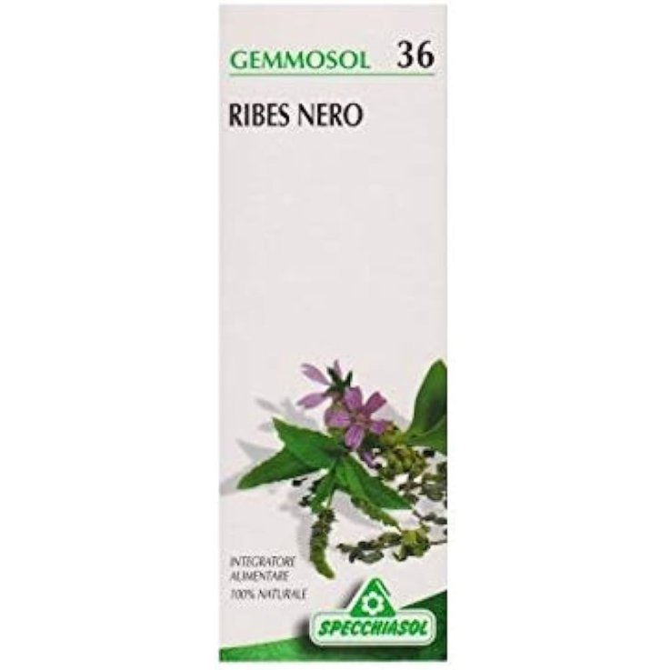 GEMMOSOL 36 Ribes Nero 100 ml