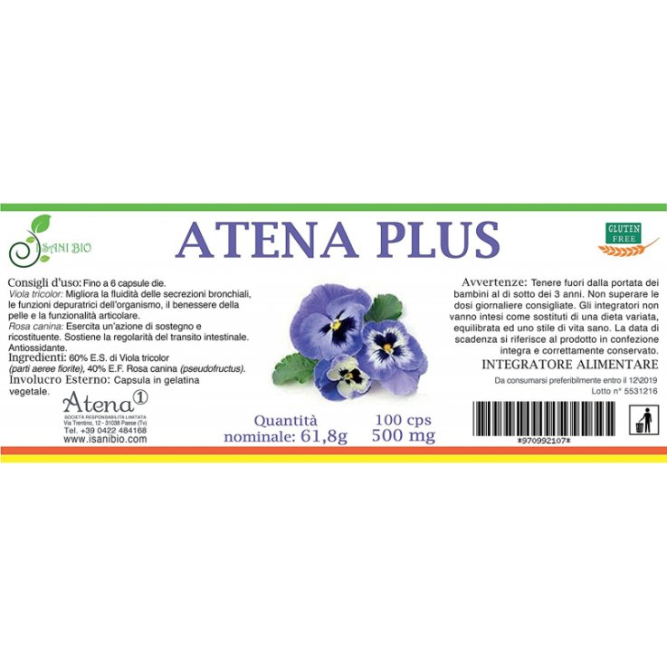 ATENA PLUS 100CPS