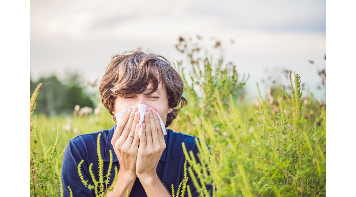 Quali sono i rimedi naturali per l'allergia al polline?