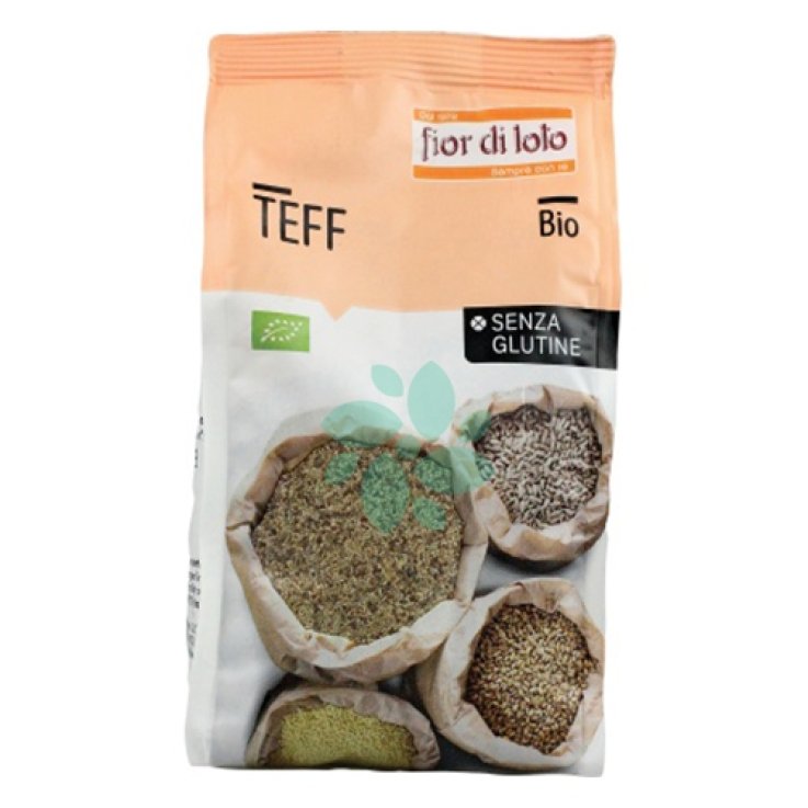 TEFF BIO 400G