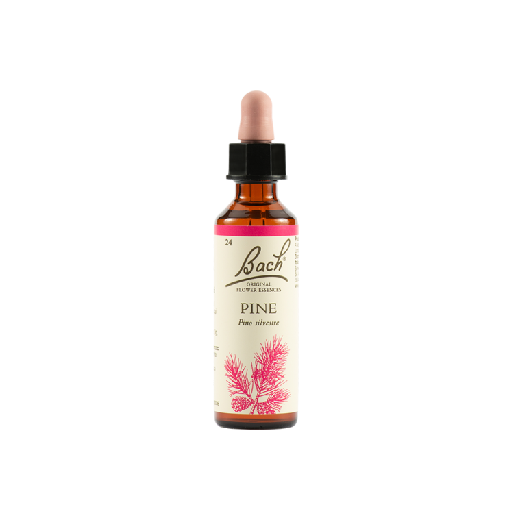 PINE BACH ORIG 20ML