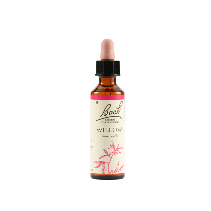 WILLOW BACH ORIG 20ML