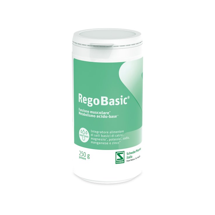 REGOBASIC Polv.250g     PEGASO