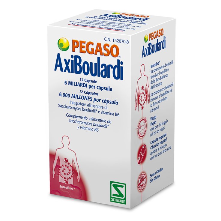 AXIBOULARDI Int.12*Cps PEGASO