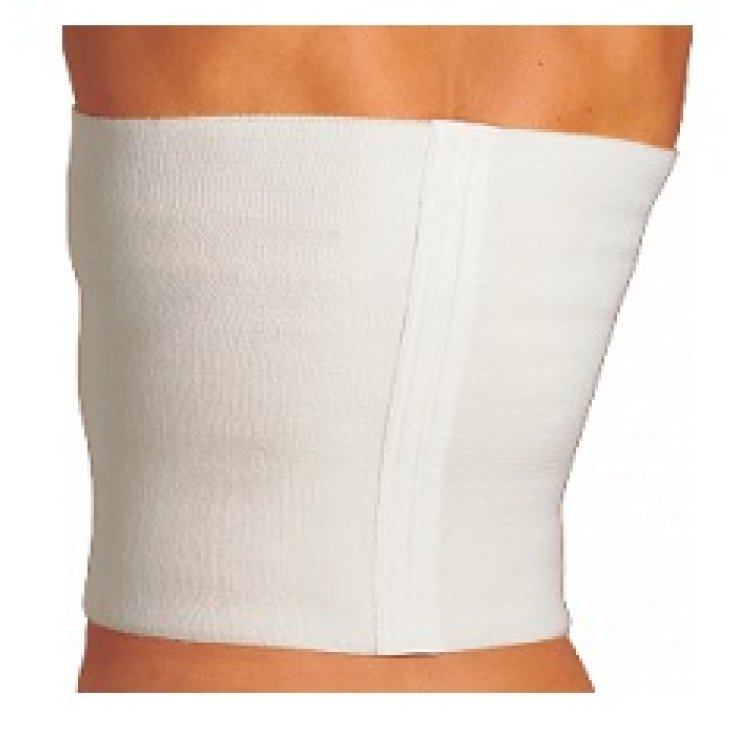 GIBAUD Cint.Support.cm 27 R 1