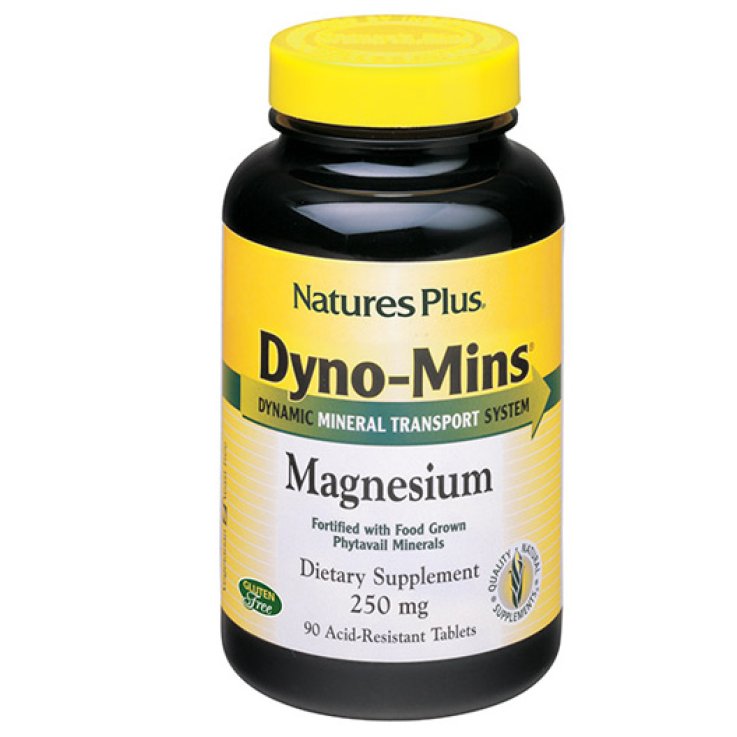 DYNO MINS Magnesio 90 Tav.