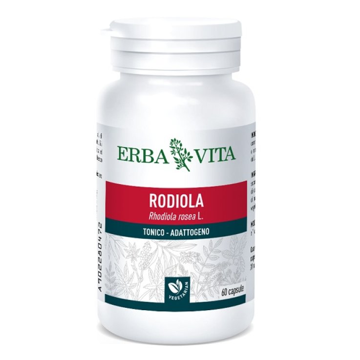 RHODIOLA ROSEA 60CPS  500MG ER