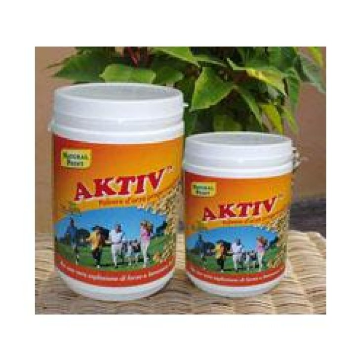 AKTIV Orzo 300g