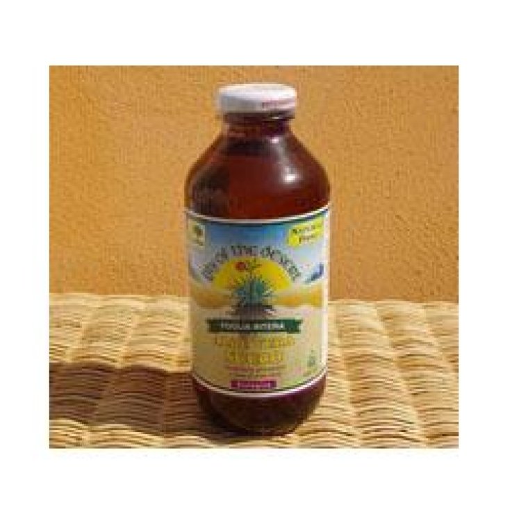 ALOE VERA Succo Bio 470ml N-P