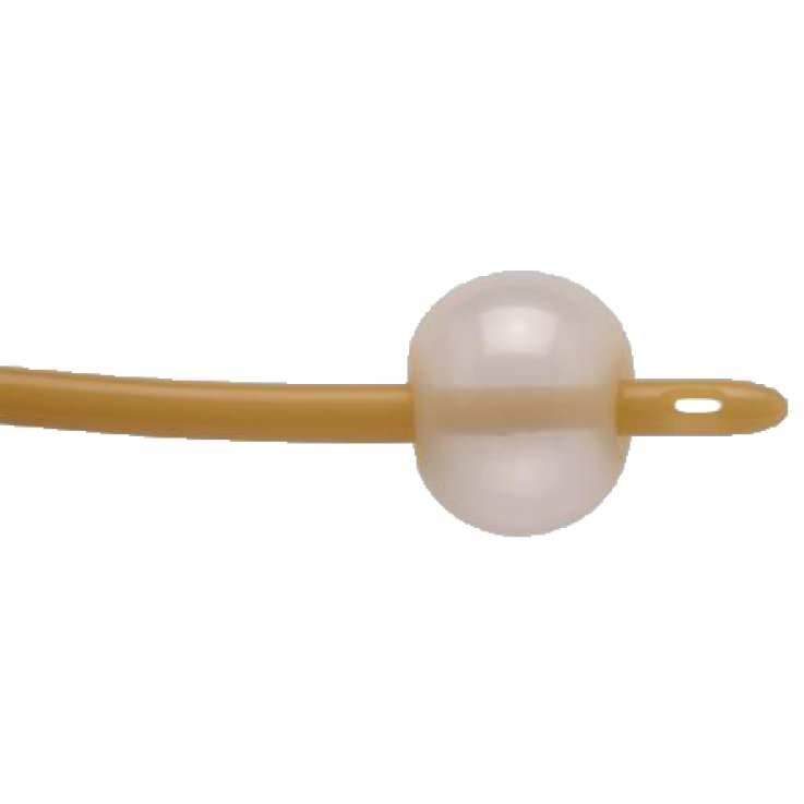 FOLEY CATET NELATON CH16 2V