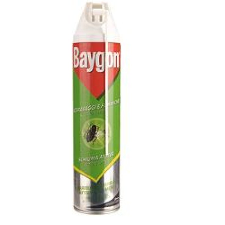 BAYGON S&F Polv.250g