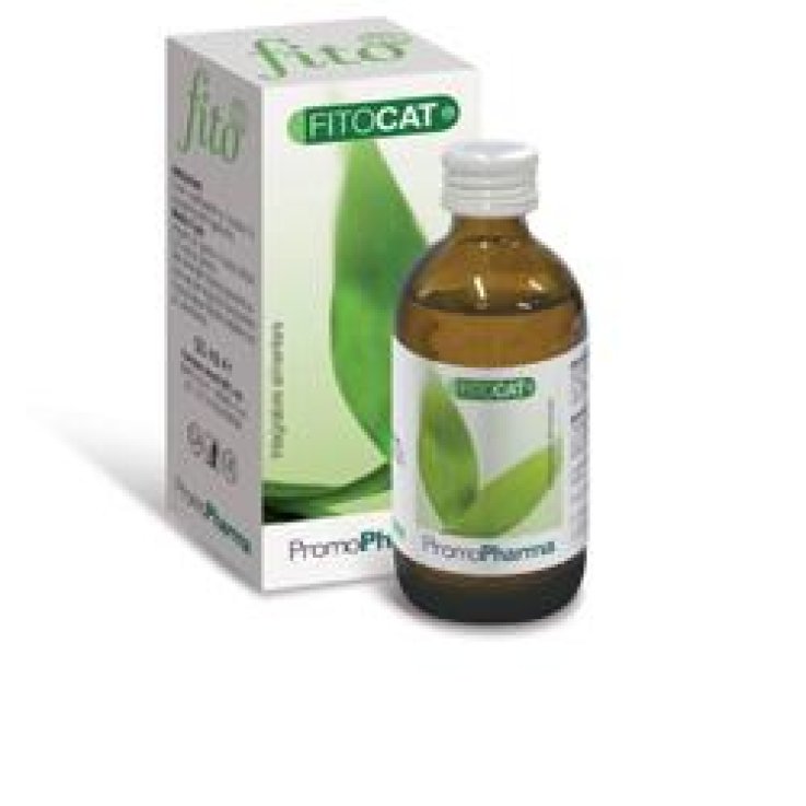 FITOCAT  1 Gtt 50ml