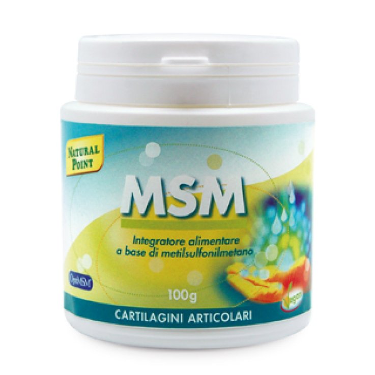 MSM Polvere 100g N-P