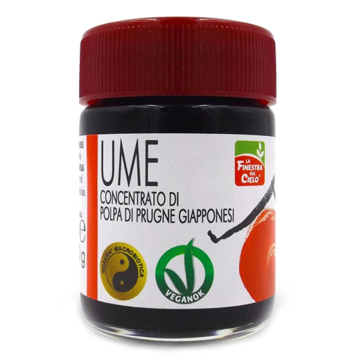 UME CONCENTRATO UMEBOSHI 40G