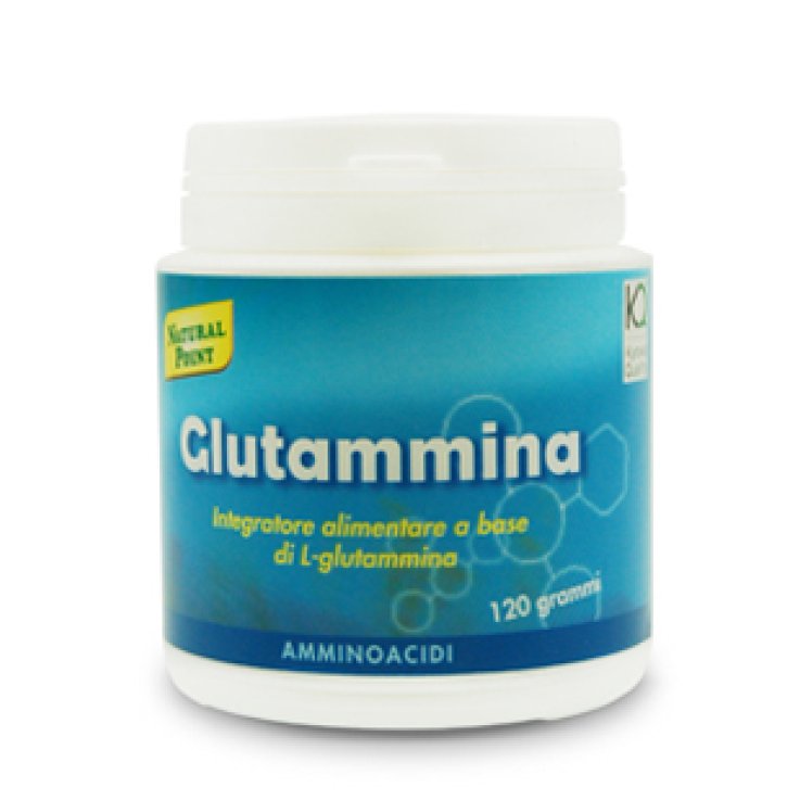 GLUTAMMINA POLVERE 120G N.POIN