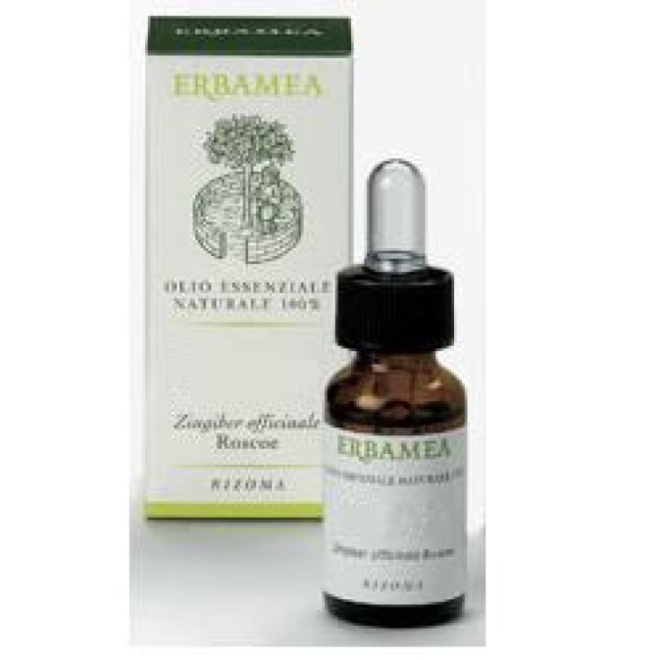 EUCALIPTO OLIO ESSENZ 10ML ERBAM