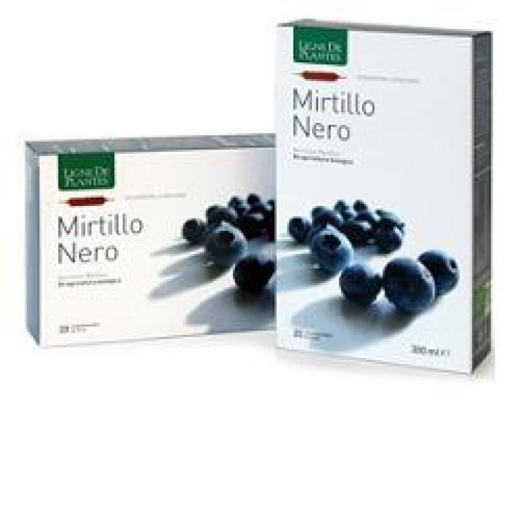 MIRTILLO NERO BIO 20AB 15ML