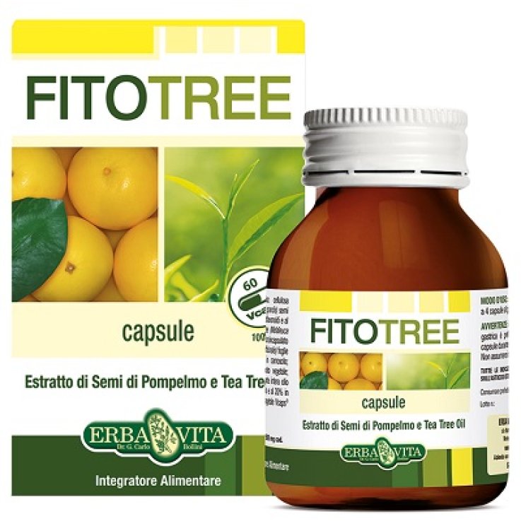 FITOTREE 60CPS