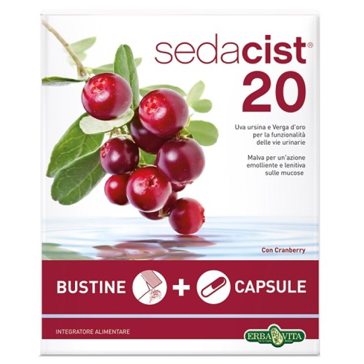 SEDACIST 20 Kit EBV