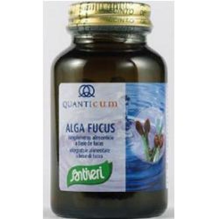 ALGA FUCUS 113CPR SANTIVERI