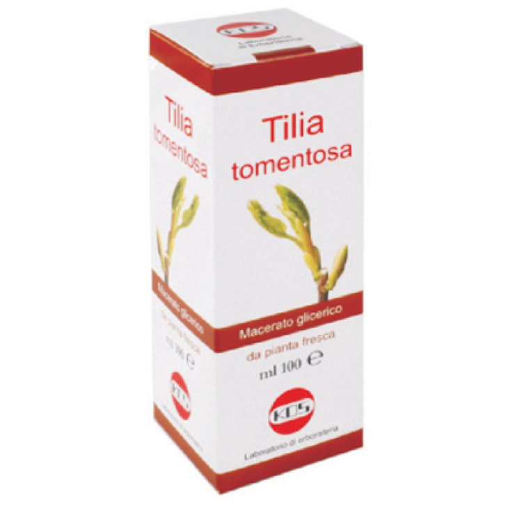 TILIA TOMENTOSA MG GTT 100ML KOS