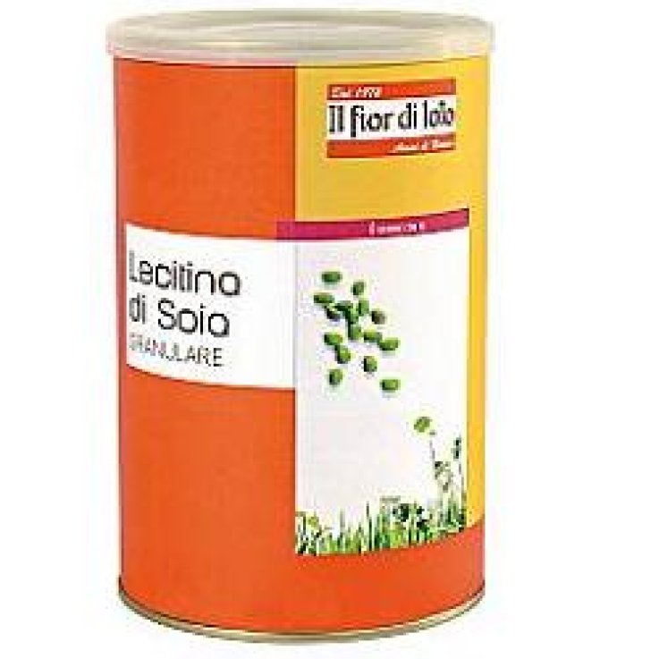 LECITINA DI SOJA GRAN.400GR (F