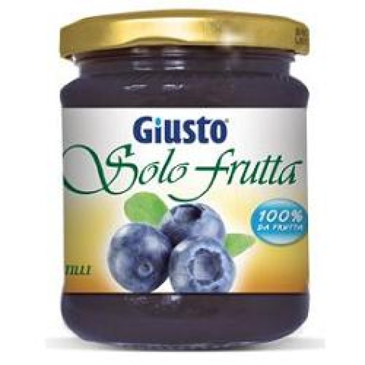 GIUSTO S/Z Marm.Mirtillo 284g