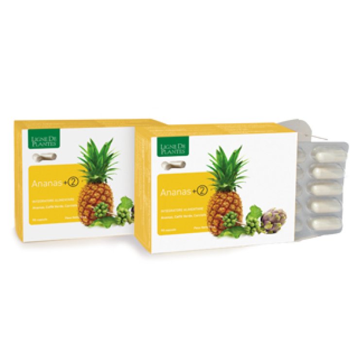 ANANAS+2 90 Cps NSE