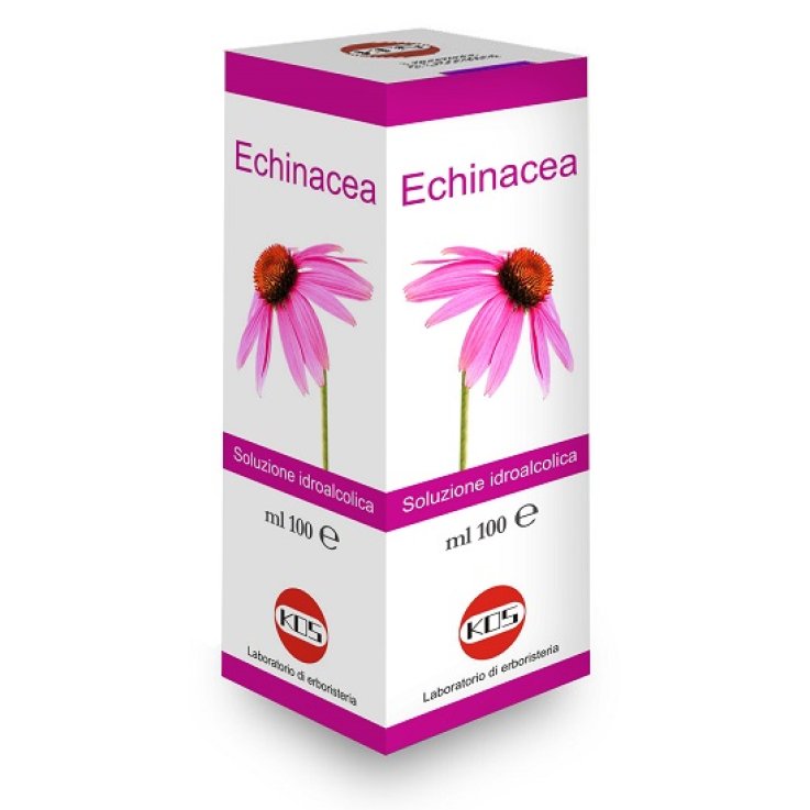 ECHINACEA SOL IAL PIANTA FR100