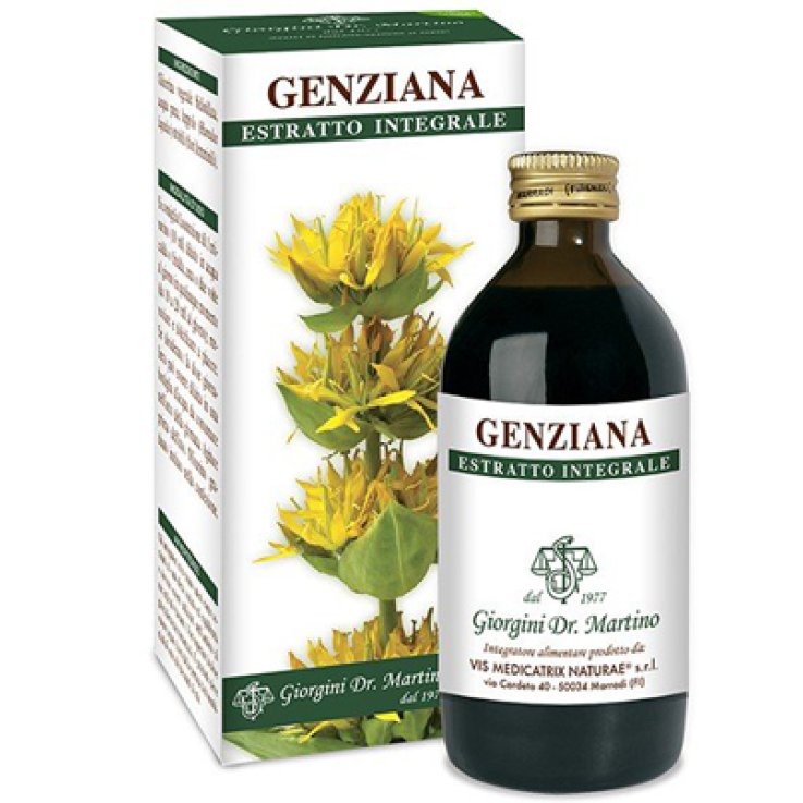 GENZIANA Est.Int.200ml GIORGIN