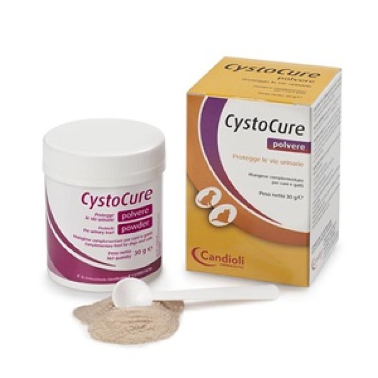 CYSTOCURE FORTE MANG COMPL 30G