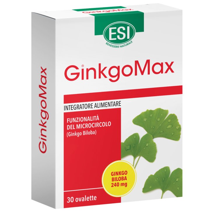 GINKGOMAX Memory 50 Oval.ESI