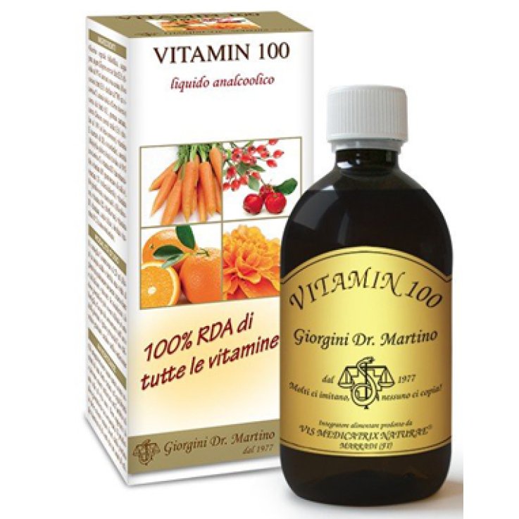 VITAMIN 100 Liq.Analc.500mlGIO