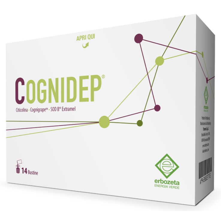 COGNIDEP 14 Bust.