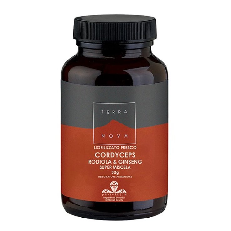 TERRANOVA CORDYCEPS RODIO/GINS