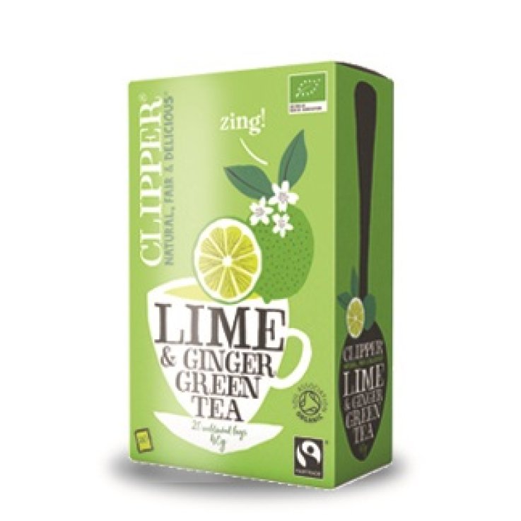 TE VERDE LIME & ZENZERO 20FILT