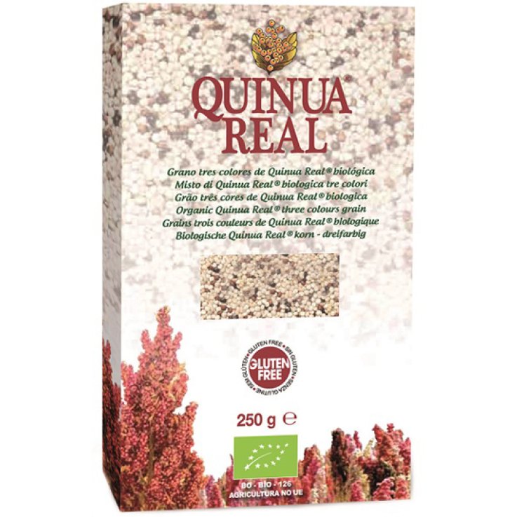 FsC Quinua Quinoa Mix 3 Colori