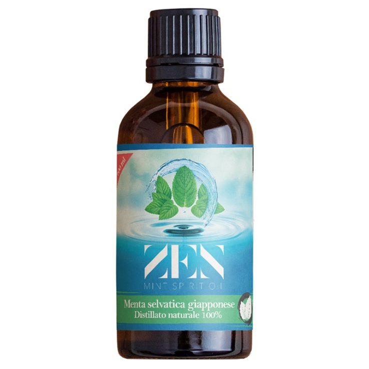 ZEN MINT SPIRIT OIL MENTA100ML