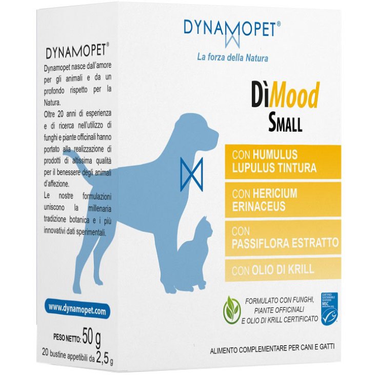 DIMOOD SMALL 20BUST