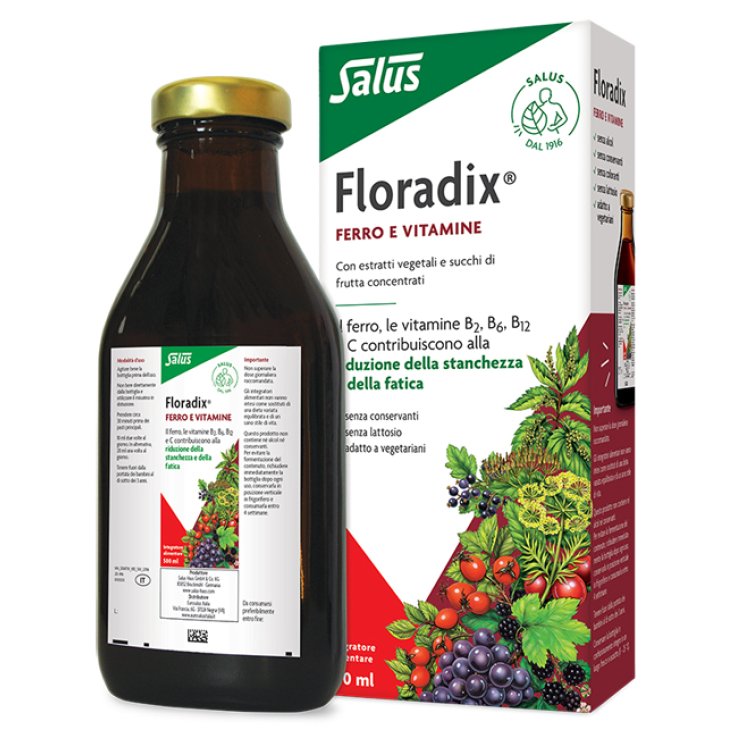 Floradix ferro 500 ml
