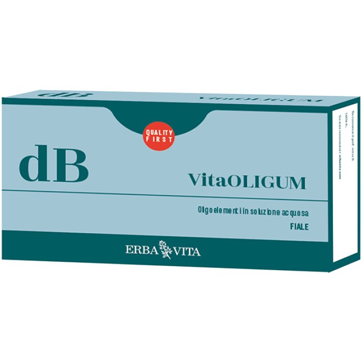 VITAOLIGUM D-B 20 flaconcini 2 ml ERBA VITA