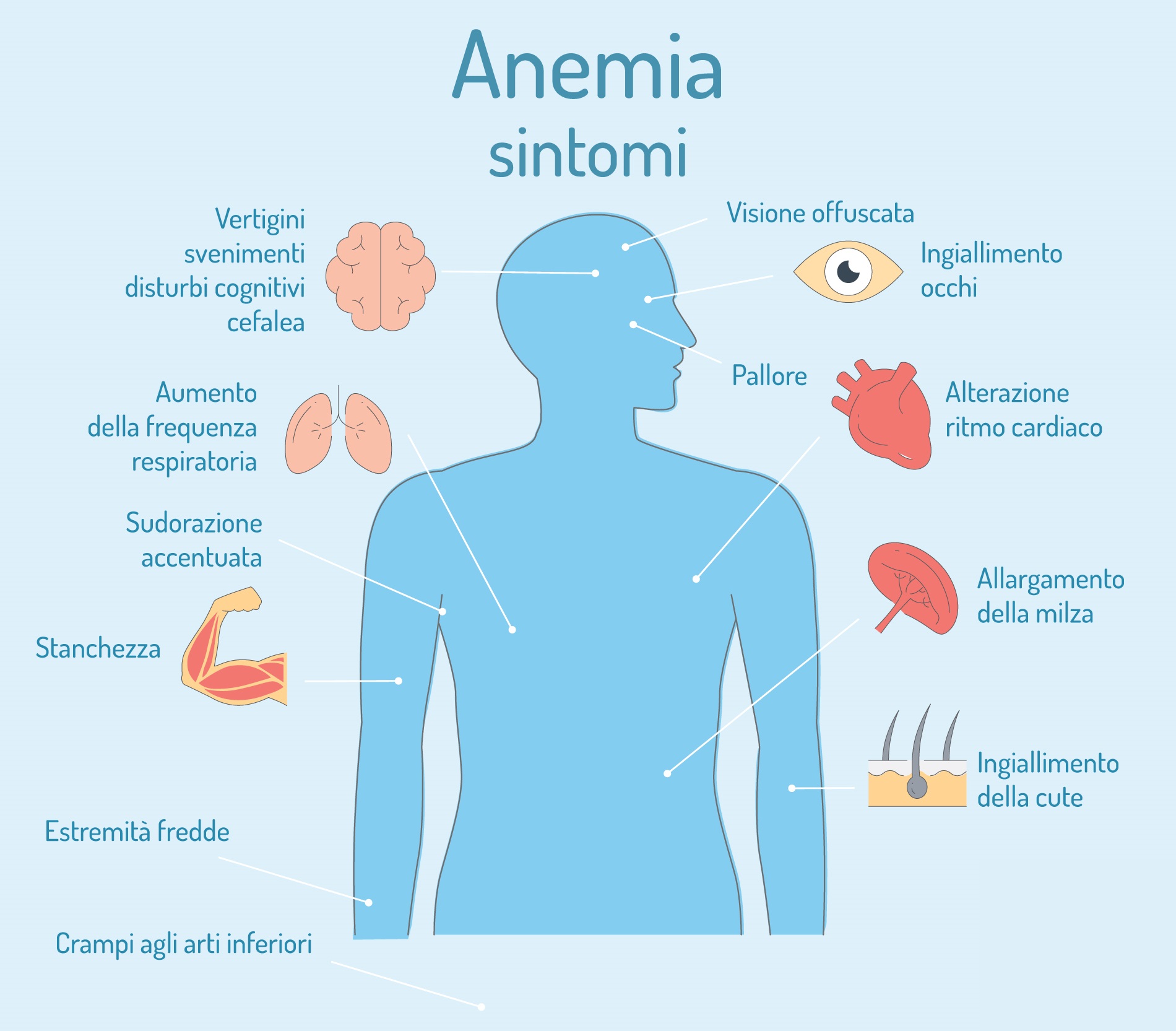 Anemia, causa sintomi e cura