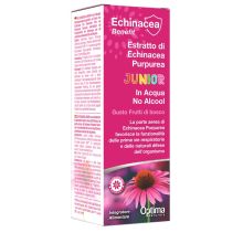 Echinacea estratto no alcool 50 ml