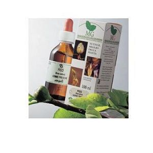 TIGLIO ARGENT 100ML MG