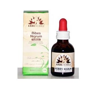 FITOBLASTO Ribes Nigrum 50ml